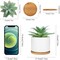 Set of 2 Artificial Agave Small Potted Succulent Plants with White Ceramic Pots & Bamboo Tray – Faux Desk & Home Decor